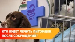 Bashkortostan plans to lay off veterinarians despite an existing staff shortage. Why?