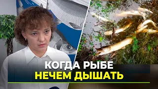 Tyumen rivers survive an extreme summer