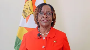 Galloping forward cooperation with China in Year of Horse: Zimbabwean ambassador