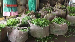 Arimi a macani Kirinyaga kuria thirikari imaguithirie magoti