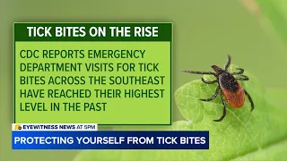 Tick bites reach 10-year high in the southeast
