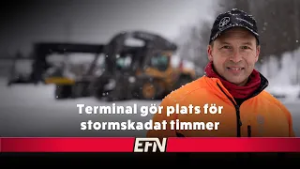 Skadade timret väller in i Forsbacka