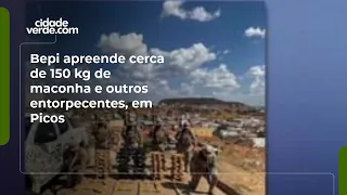 BEPI seizes nearly 150 kg of marijuana and other narcotics in Picos