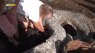 Traditional wine press recreated at Lagar dos Mouros in Vilar do Torno and Alentém