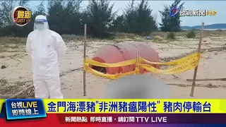 Pigs found to have tested positive for African swine fever in Kinmen; pork shipments to Taiwan su...