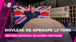 Record mondial pentru un dovleac de peste o tonă: Un american a muncit câte șase ore pe zi