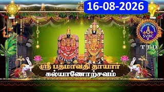 Sri Padmavathi Ammavari || Kalyanotsavam || Tiruchanoor || 16-08-2026 || SVBC2 Tamil || SVBC TTD