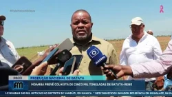 National production: Moamba expects five-thousand-ton potato harvest @MiramarNews
