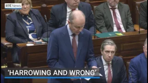 Government formally apologises to survivors of institutional abuse | RTÉ News