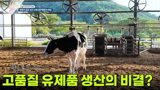 [시골 부자의 탄생] 고품질 유제품 생산의 비결은? [생방송 굿모닝 대한민국] | KBS 260923 방송