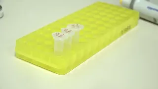 Una investigación de la Universidad de Sonora busca desarrollar tratamiento alternativo