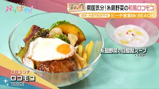 [Akira Okazawa’s Station-Front Diner] Tropical Vibes! Japanese-Style Locomoco with Itoshima Veget...