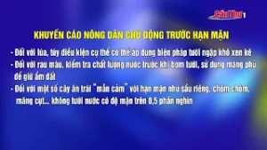 Bí quyết "giữ ngọt" cho vườn cây ăn trái giữa mùa hạn mặn 2026 | CT-TDT