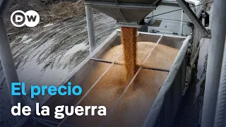 Black Sea crisis threatens global food security