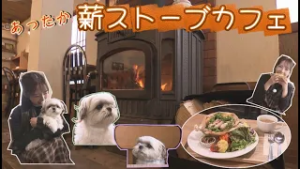 【薪ストーブカフェ】こだわりのコーヒーにこだわりのサラダサンドランチ。さらには思わずキュン…！わんこ店長も出勤するいつまでもいたくなるお店　札幌市西区 Silk Tree