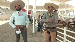 #PureCharro: A Conversation with Pedro Valdez Madera, Member of the "Charros Hermanos Valdez" Team