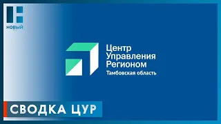 Более 1400 сообщений от жителей региона обработали сотрудники ЦУР Тамбовской области