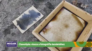 Cianotípia: vissza a fotográfia kezdetéhez – Mozaik