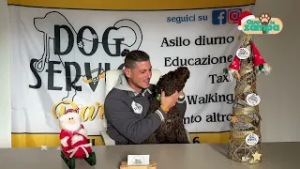 "Qua la zampa": le differenze tra collare e pettorina