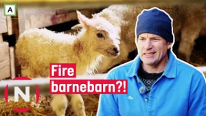 Jon og Ellen blir besteforeldre til FIRE nye barnebarn?! | Jon blir bonde | TVNorge