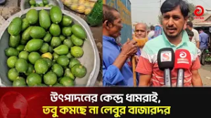 উৎপাদনের কেন্দ্র ধামরাই, তবু কমছে না লেবুর বাজারদর | Asian Television