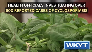 Health officials investigating over 600 reported cases of cyclosporiasis
