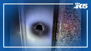 Capitol Hill pizza restaurant shot up, teen arrested