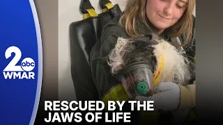 Rescued from a recliner