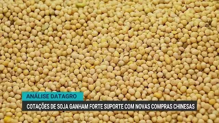 China buys another 1.3 million tons of US soybeans, boosting prices