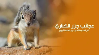 عجائب براري جزر الكناري لغز المحيط الذي حير العلماء لقرون | كويست عربية Quest Arabiya