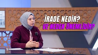 What Is Willpower and Why Is It Important? | Saliha Yıldırır | Ladies' Guide