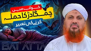 Khwab Mein Bat (Chamgadar) Ka Attack Karna? | Khwabon Ki Tabeerain | Asad Attari Madani