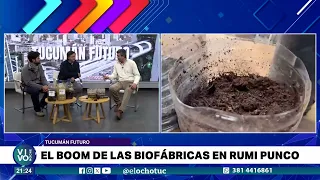 TUCUMÁN FUTURE: THE BIOFACTORY BOOM IN RUMIPUNCO