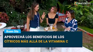 Take Advantage of the Benefits of Citrus Fruits Beyond Vitamin C