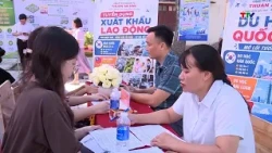 New Regulations on Hiring Vietnamese Workers by Foreign Organizations