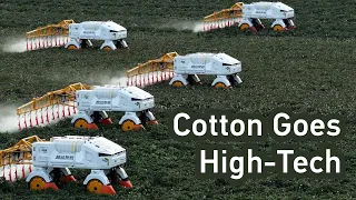 CIFTIS 2026 : des robots cotonniers parcourent 40 000 hectares dans le Xinjiang