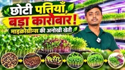 Krishi Darshan | EP#11 | Microgreens Farming | Gulshan Kumar | DD Bihar