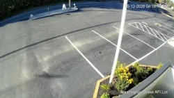Wallingford hit-and-run investigation continues; business owner shares surveillance video