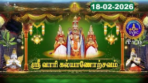 Srivari Kalyanotsavam || Tirumala || SVBC2 Tamil || 18-02-2026 || SVBC TTD