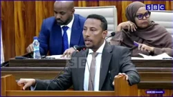 “Dadka Soomaaliyeed waxay awoodi la yihii in ay wax Kala iibsadaa”Xildhibaan Mohamed Ali.