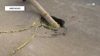 SIAPA addresses less than half of reported sinkholes