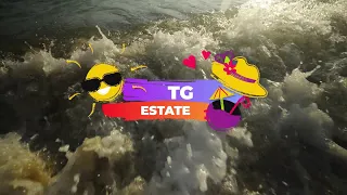 Summer News for 08/01/2026