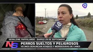 Concerns in the 29 de Septiembre neighborhood over constant attacks by loose dogs