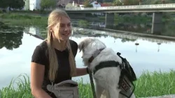 Tierische Oberpfalz: Assistenzhunde