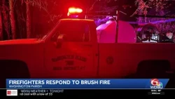 Firefighters in Washington Parish respond to brush fire in area