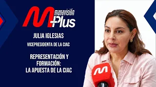 What does the artistic sector need to professionalize in Manabí?