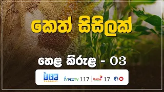 කෙත් සිසිලක් | Hela Kirula | EP.03