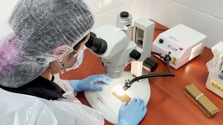 Alert Regarding Possible Aedes Aegypti Mosquito Proliferation After Rains in Antofagasta