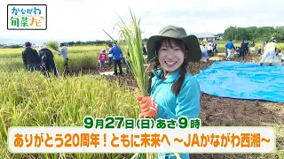 かながわ旬菜ナビ　次回予告（9月27日放送）