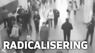 Radicalisering blijft lastig te bestrijden: 'Scholen zijn onvoldoende voorbereid' | BRUZZ